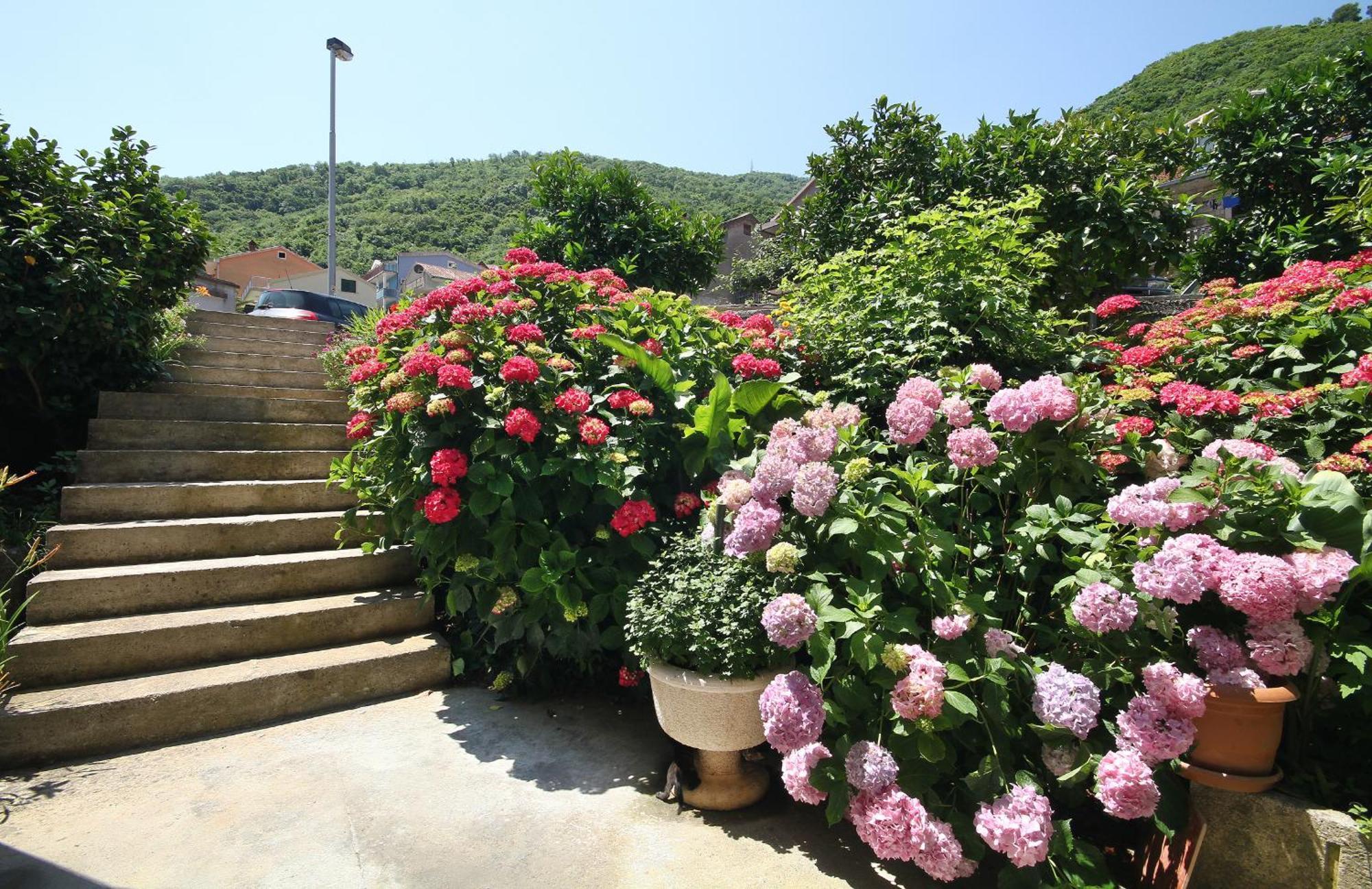 Apartments Raicevic Budva Eksteriør bilde